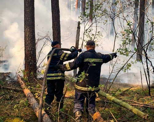 Масштабні лісові пожежі: на Харківщині детонують боєприпаси, готується евакуація населення 